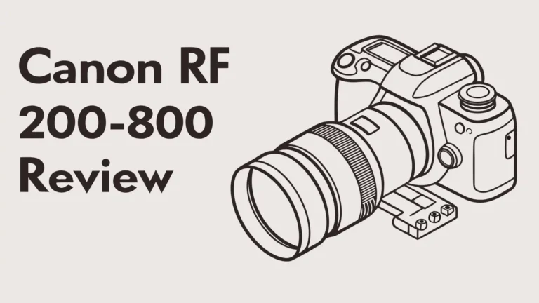 Canon RF 200-800mm F6.3-9 IS USM Review: Worth Trying?